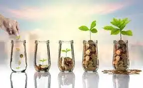 مراحل رشد کسب و کار