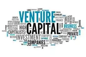 سرمایه خطرپذیر